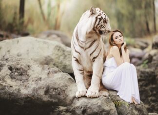 Czy ser Królewski jest zdrowy?