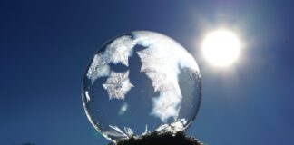 Czy dla psa jest zimno w budzie?