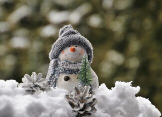 Jak fajnie ozdobić babeczki? Jak fajnie ozdobić babeczki?