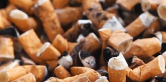 Jakie tylki na początek?