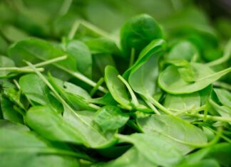 Czy można codziennie jeść szpinak? Czy można codziennie jeść szpinak?