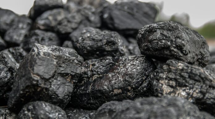 Ekogroszek workowany